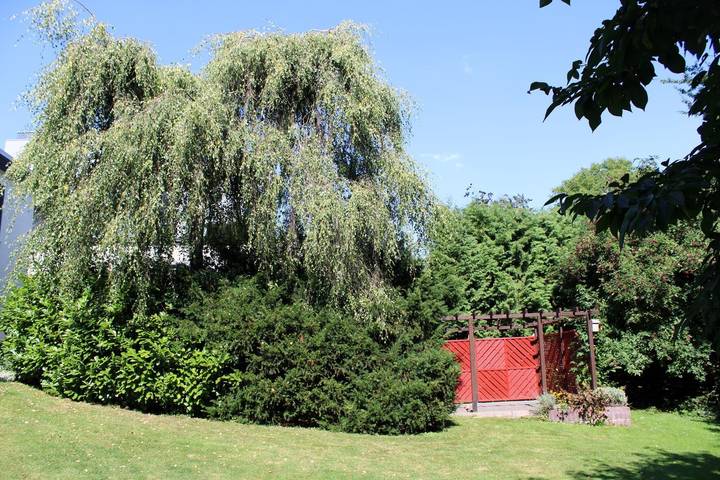 Ferienwohnung für 4 Personen, mit Garten, mit Haustier in Möhnesee - 4