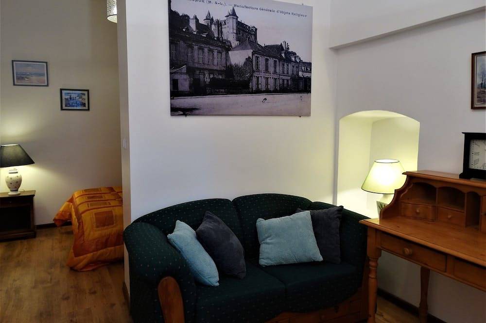 Appartement entier, Bel appartement au pied du Château in Saumur, Vallée de la Loire