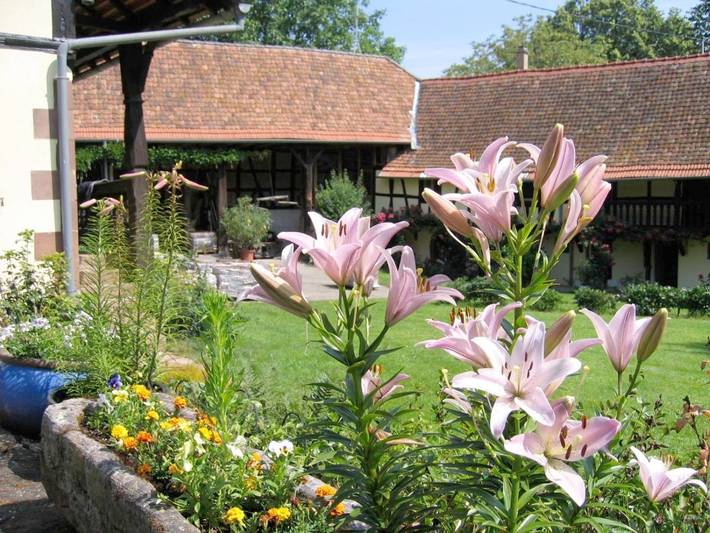 Appartement de vacances pour 5 personnes, avec Balcon et Terrasse ainsi que Jardin et Piscine