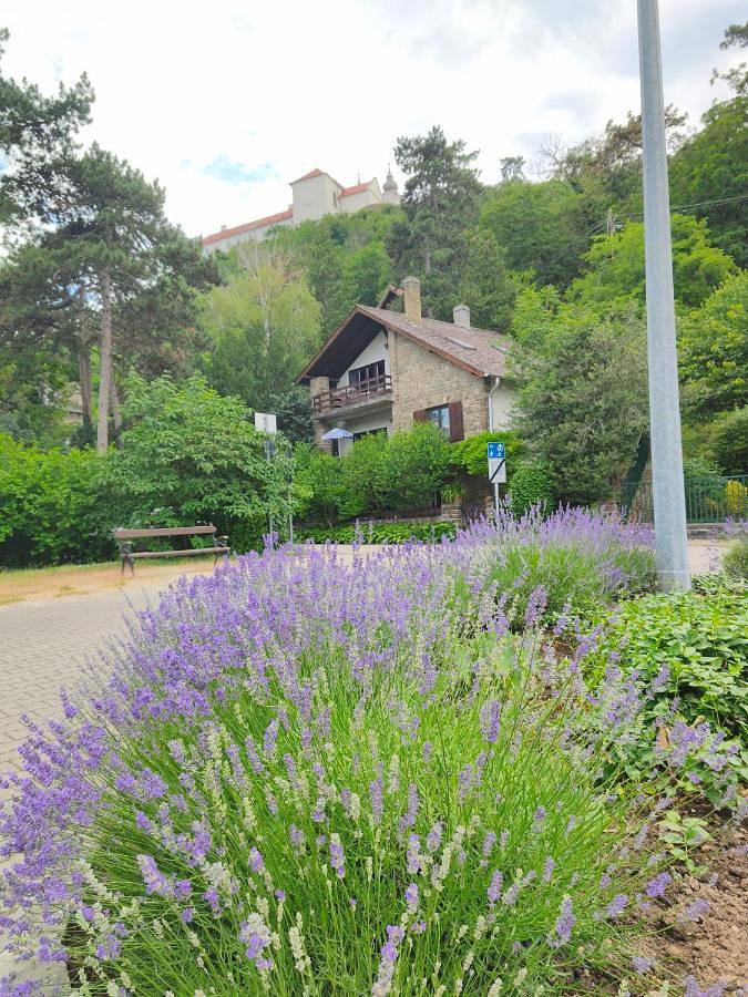 Dom dla 10 osób, z Balkon i Taras oraz Ogród i Widok w Tihany