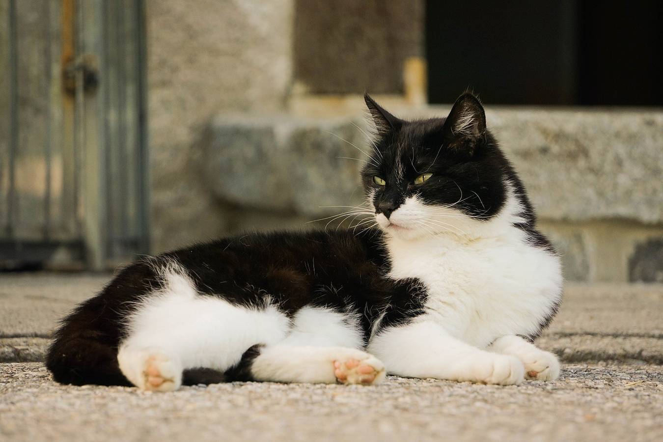 Ganze Ferienwohnung, Moserhof - Hofwohnung 65 qm mit 2 separaten Schlafzimmer, Wohnraum in Samerberg, Bayerische Alpen