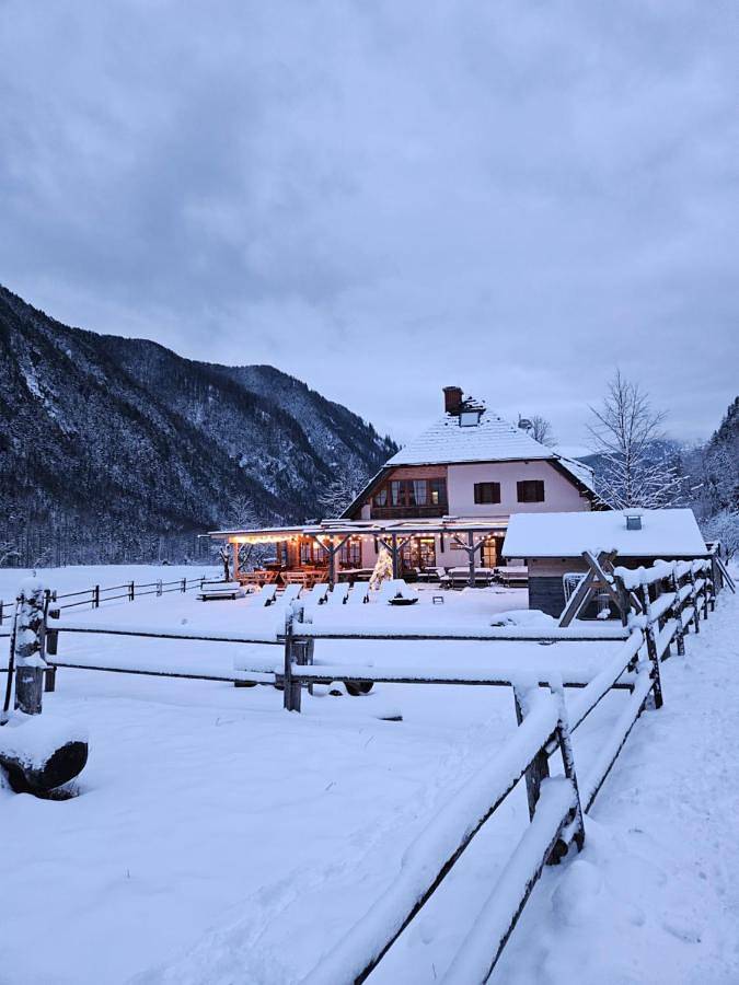Location de vacances pour 4 personnes, avec jardin et vue, animaux acceptés à Solčava - 3