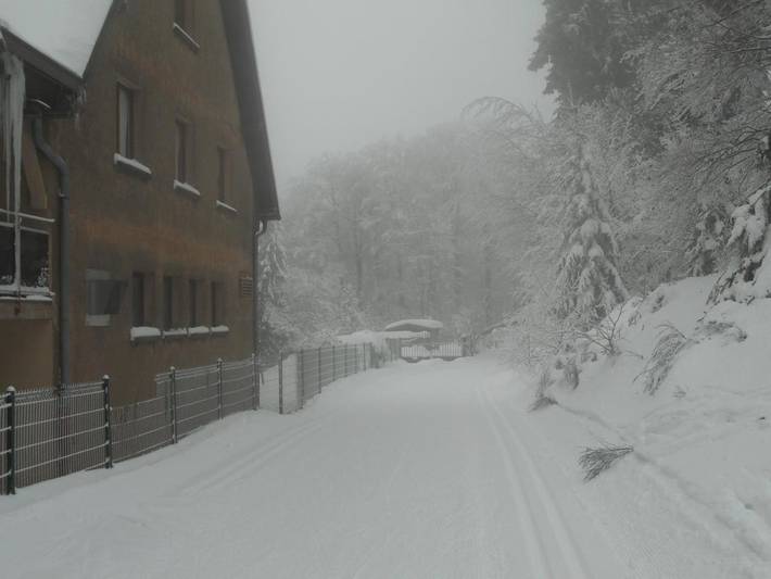 Gîte pour 4 personnes, avec vue, animaux acceptés dans Station du Champ du Feu - 4