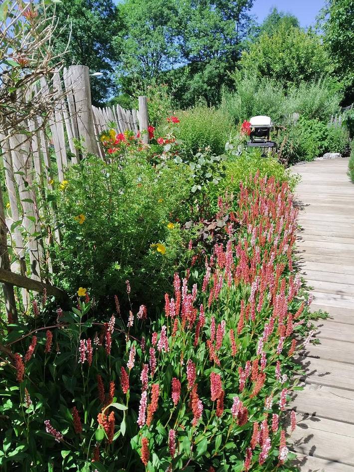 Gîte für 2 Personen, mit Terrasse und Garten in Franche-Comté - 2