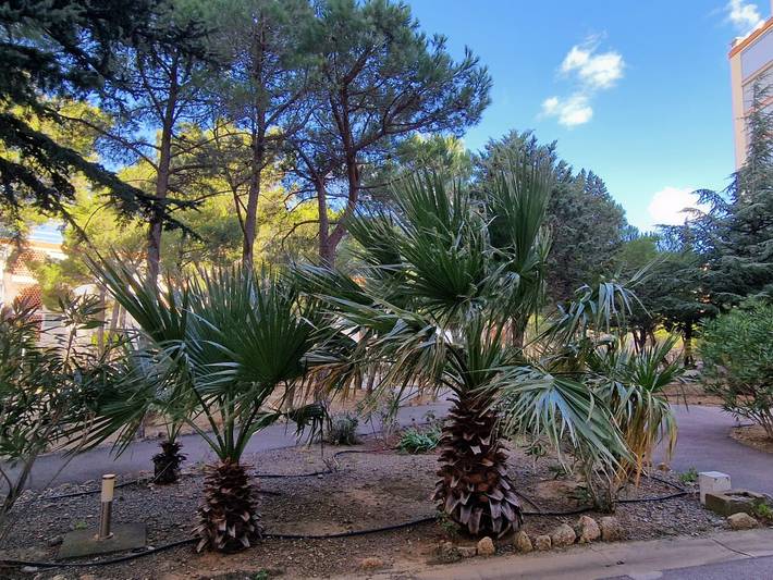 Ganze Wohnung, Banyuls: T3-Apartment mit Terrasse, Parkplatz, 6 Pers. in La Côte Vermeille, Banyuls-sur-Mer
