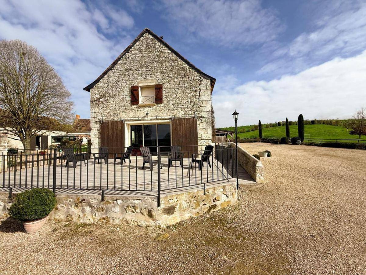 Grande maison, animaux admis - 14 pers. - Fr-1-381-670 in Pouzay, Région de Chinon