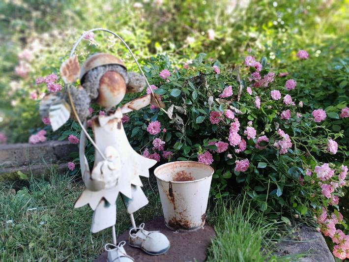 Gîte pour 7 personnes, avec jardin dans Eure-et-Loir - 3