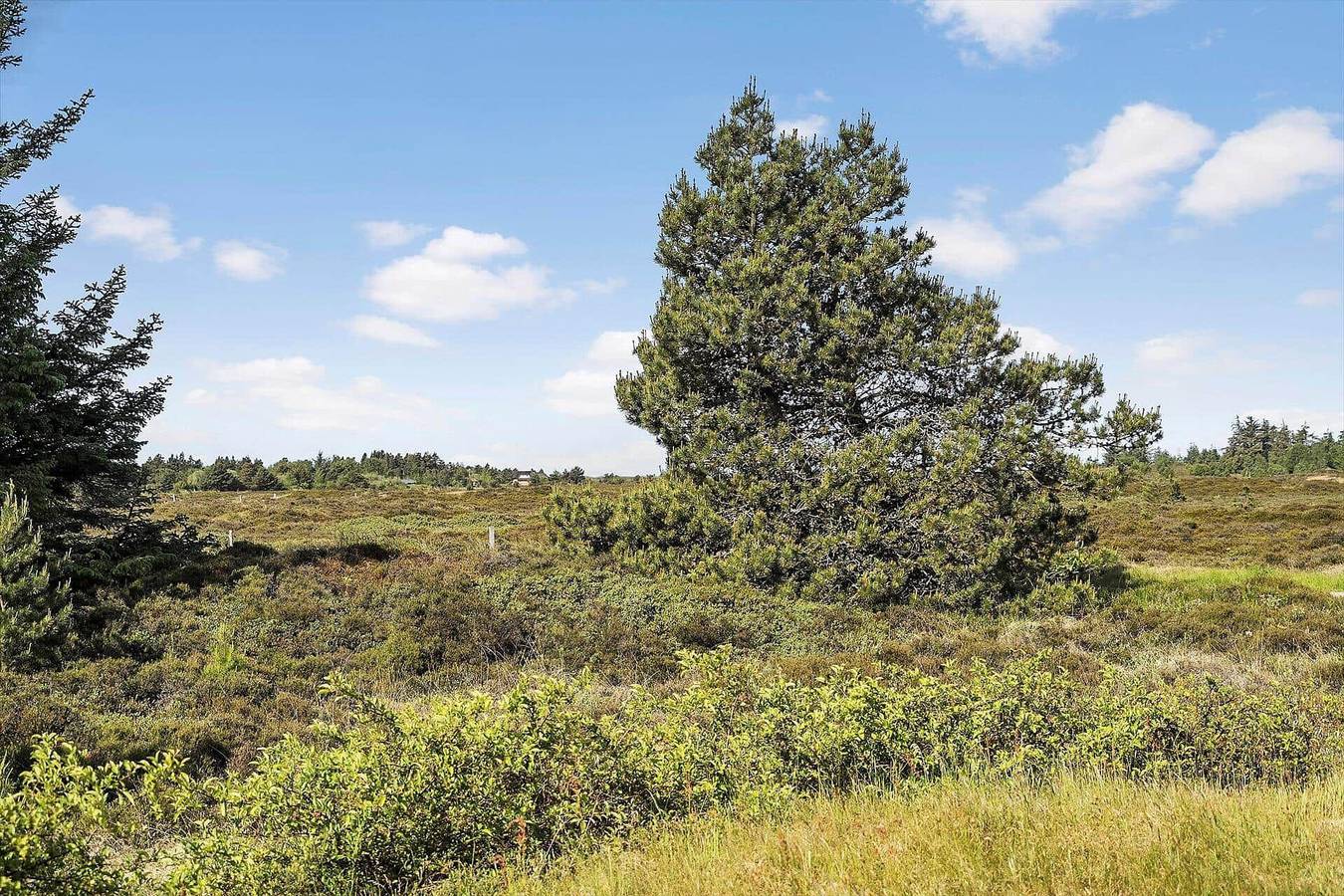 0170 Rømø - Davidstræde 21 in Kongsmark, Rømø