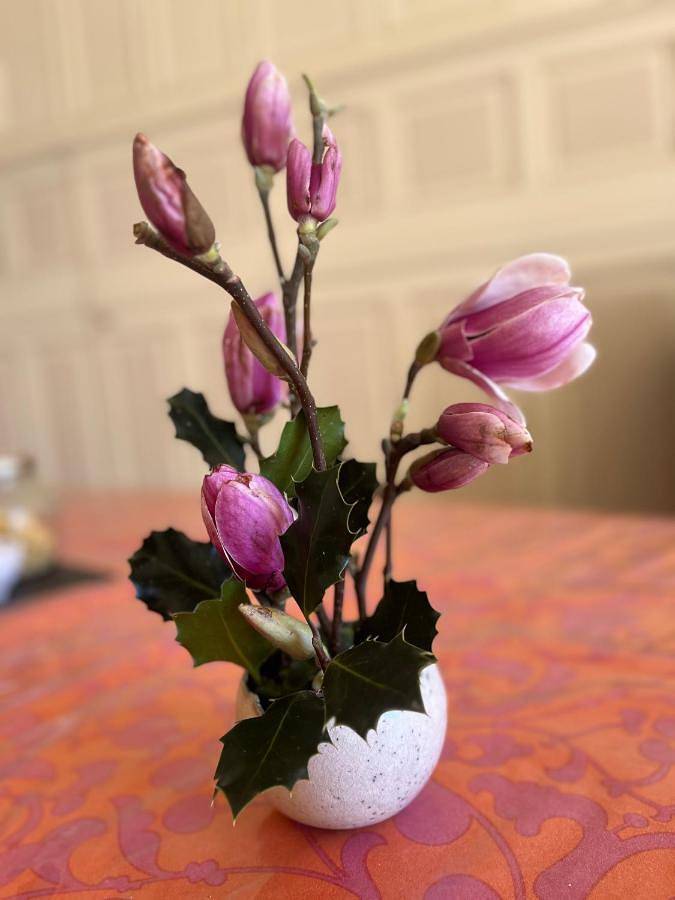 Villa Dampierre in Pau, Béarn