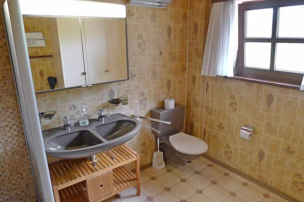 Ganze Wohnung, Fricktalerhuus Apt.1 in Surava, Plessur Alpen