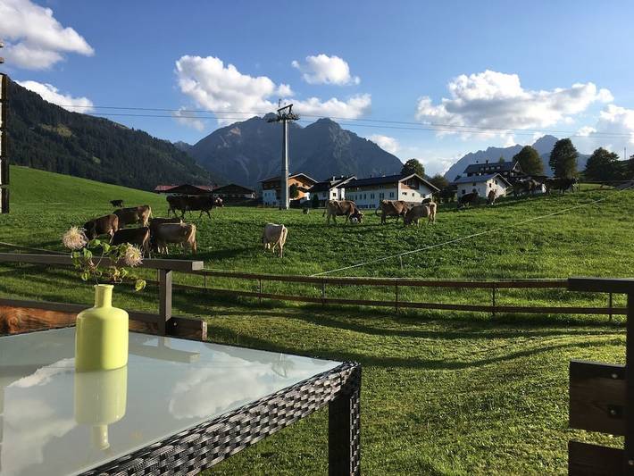 Gezellig appartement met keuken, terras en vlak bij skipistes en restaurants in Hirschegg Kleinwalsertal, Mittelberg