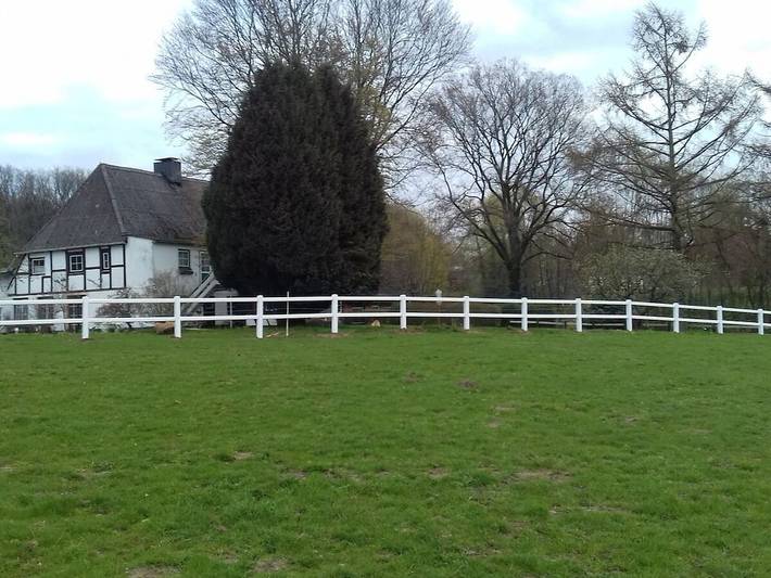 Ferienhaus für 6 Personen, mit Garten in Malente - 3