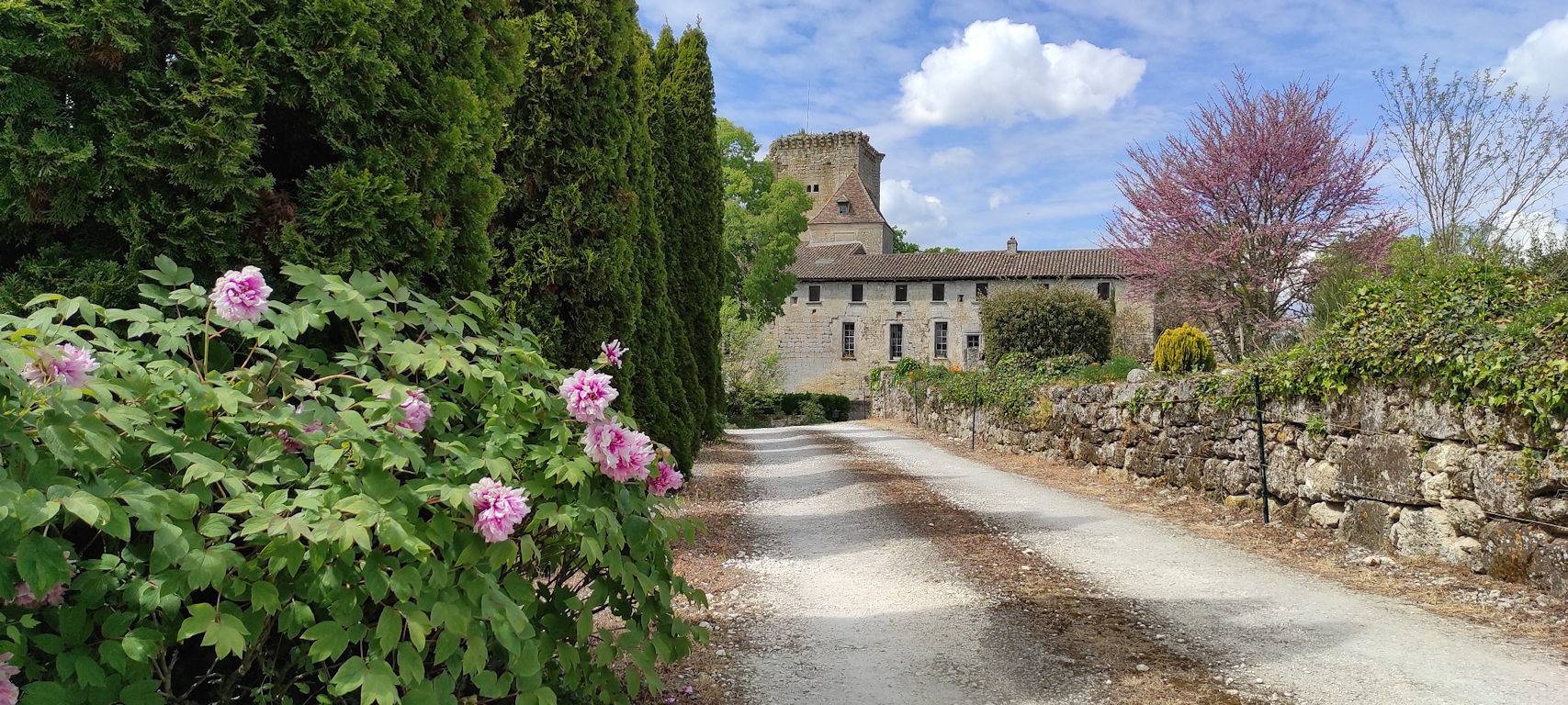 Gîte du Château de Curton in Daignac, Région de Libourne