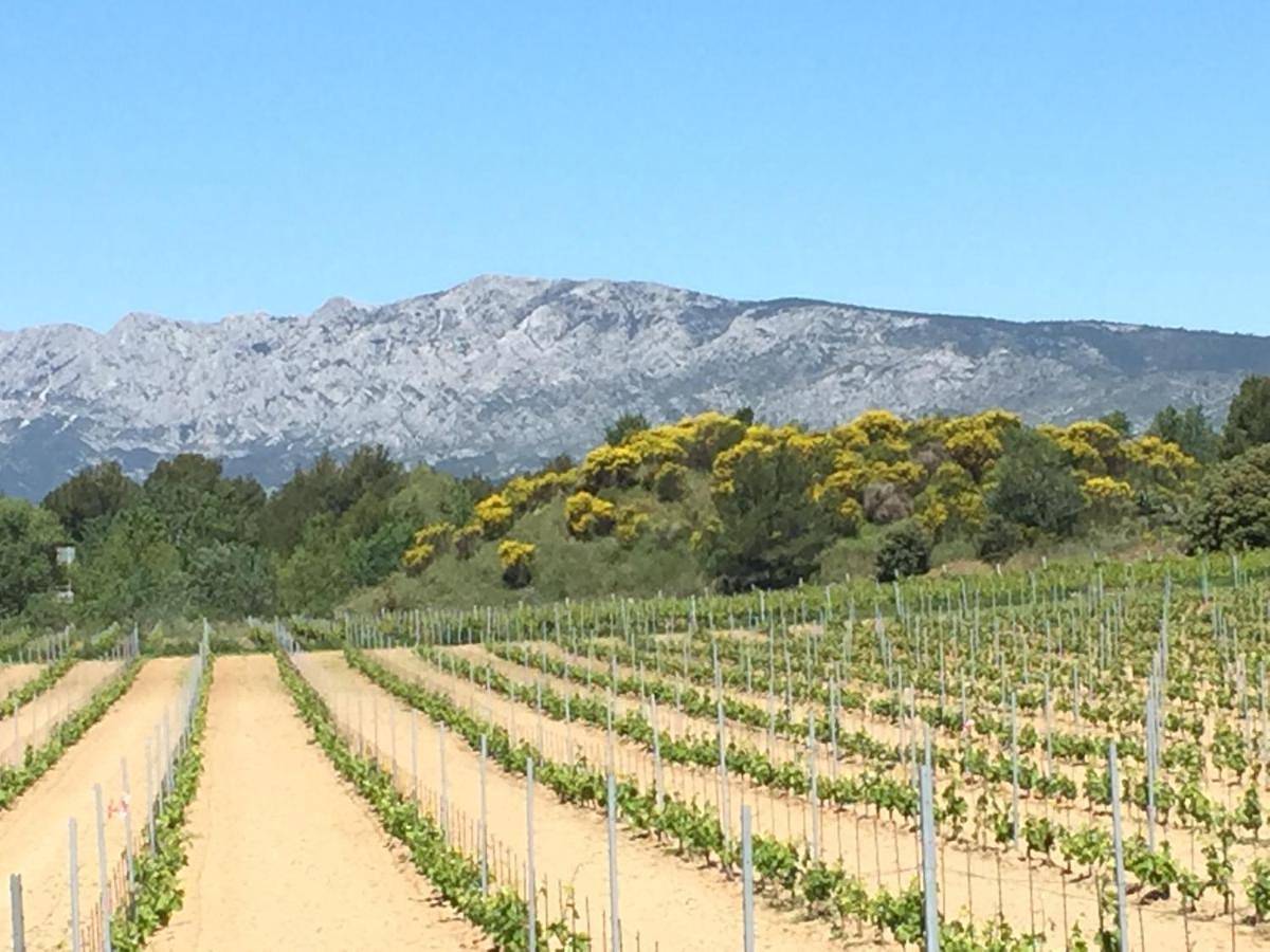 Les Piques in Pourcieux, Région de Brignoles