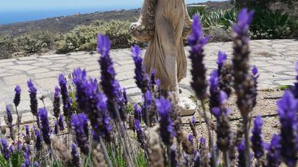 Finca für 3 Personen in Arico, Teneriffa Süd, Bild 4