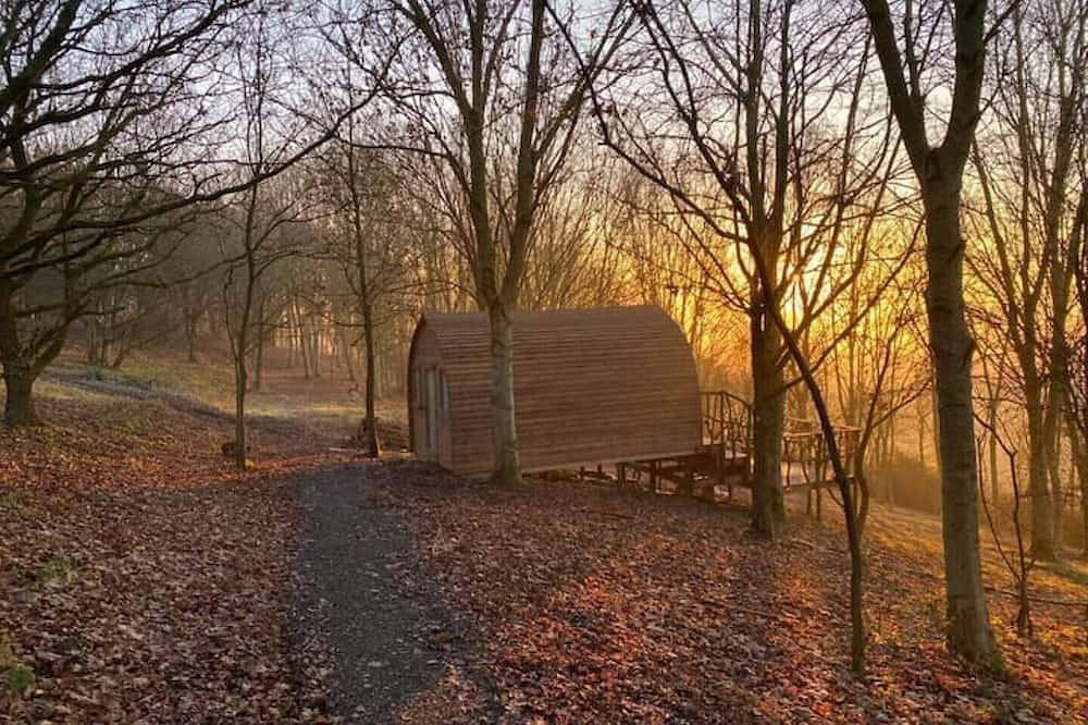 Warwickshire Woodland Glamping Cabin - Oak in Warwickshire