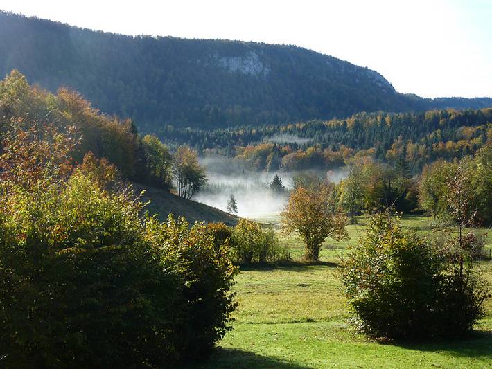Maclu in Le Frasnois, Parc naturel régional du Haut-Jura