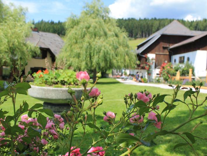 Urlaub am Bauernhof Hönigshof - Einzelzimmer Samenkorn (ab 3 Nächte) in Fischbach, Steirerland