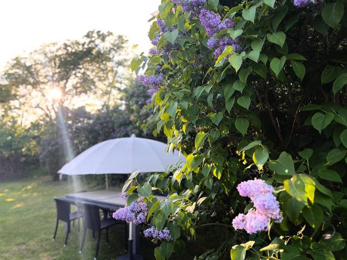 Ferienwohnung für 2 Personen, mit Terrasse und Garten in Fjällbacka - 3