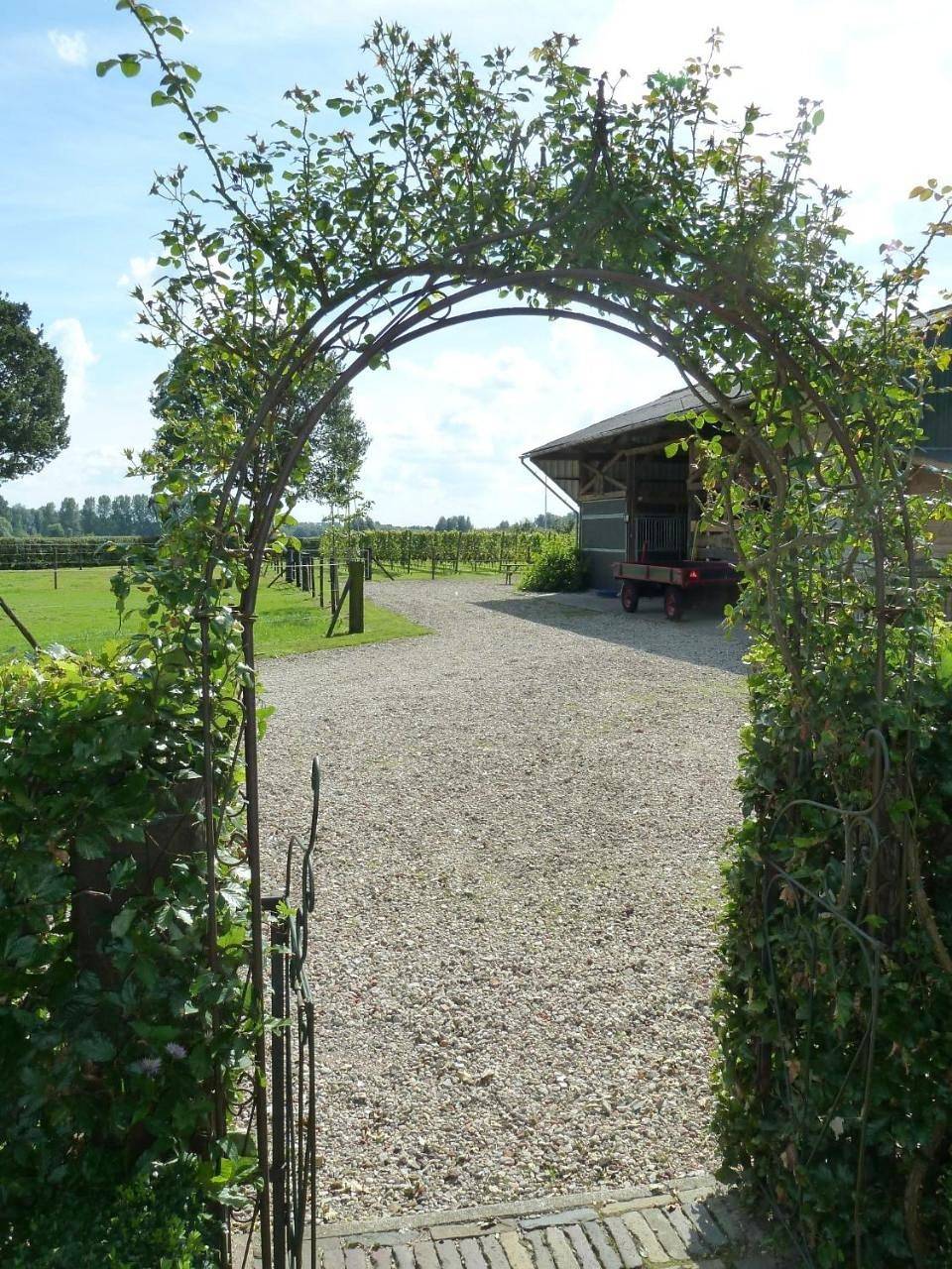 Chalet in het stro in IJssel