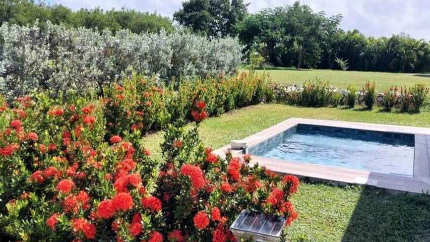Gîte pour 5 personnes, avec jardin et piscine dans Saint-Louis (Marie-Galante) - 3