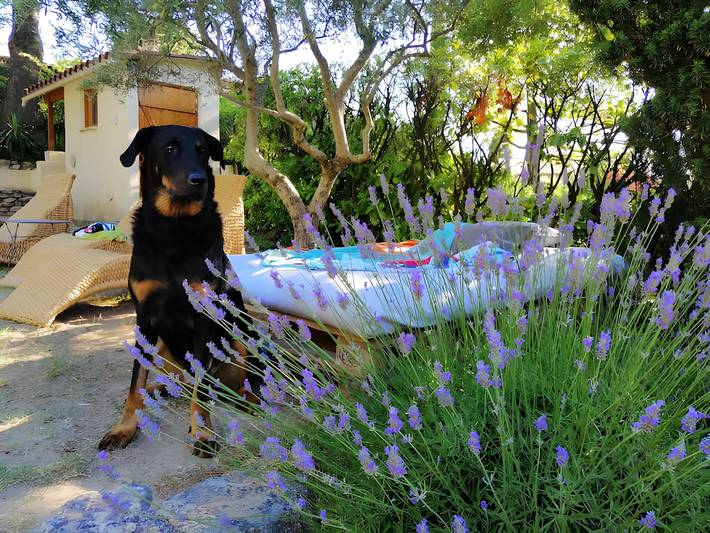Maison de vacances pour 6 personnes, avec jardin, animaux acceptés dans la Drôme - 2