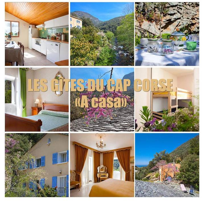 Gîte pour 2 personnes, avec jardin à Olmeta-di-Capocorso - 3