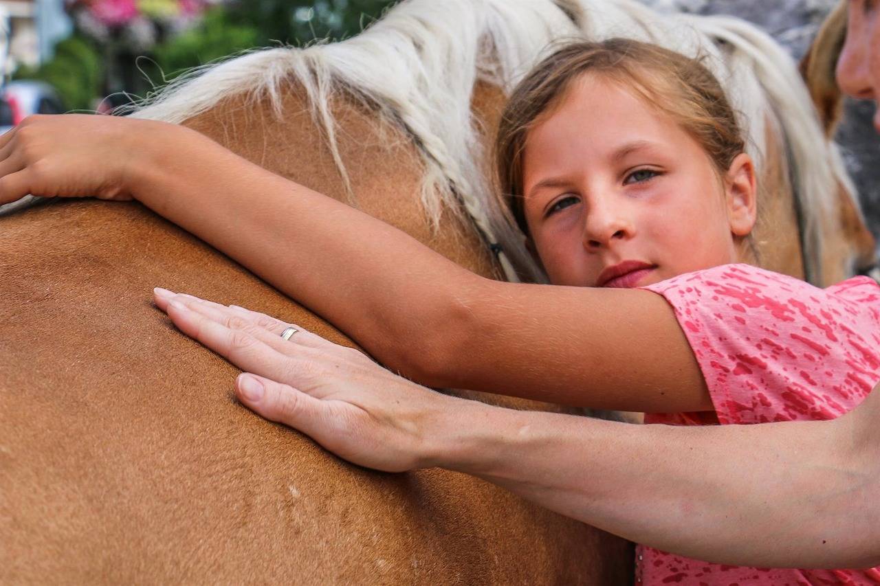Ganze Ferienwohnung, Ez "Falabella" in Walchsee, Kaisergebirge