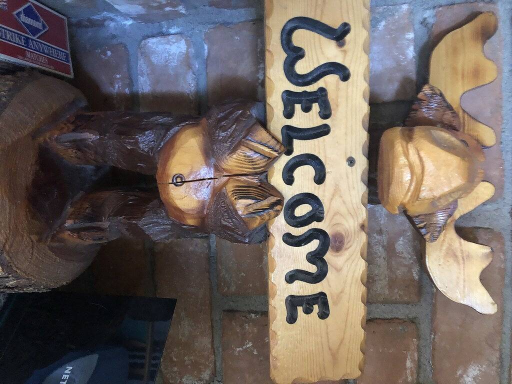 Flucht in die kühlen Kiefern in Gila County