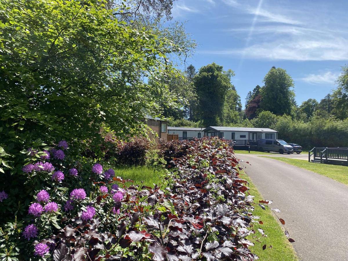 Camping Pod Sleeps 4 (Shared Bathrooms) in Callander, Stirling region
