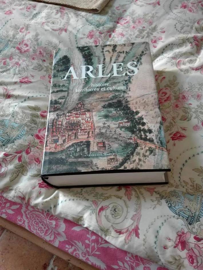 Chambre d’hôte pour 4 personnes, avec vue et jardin, animaux acceptés à Arles - 4