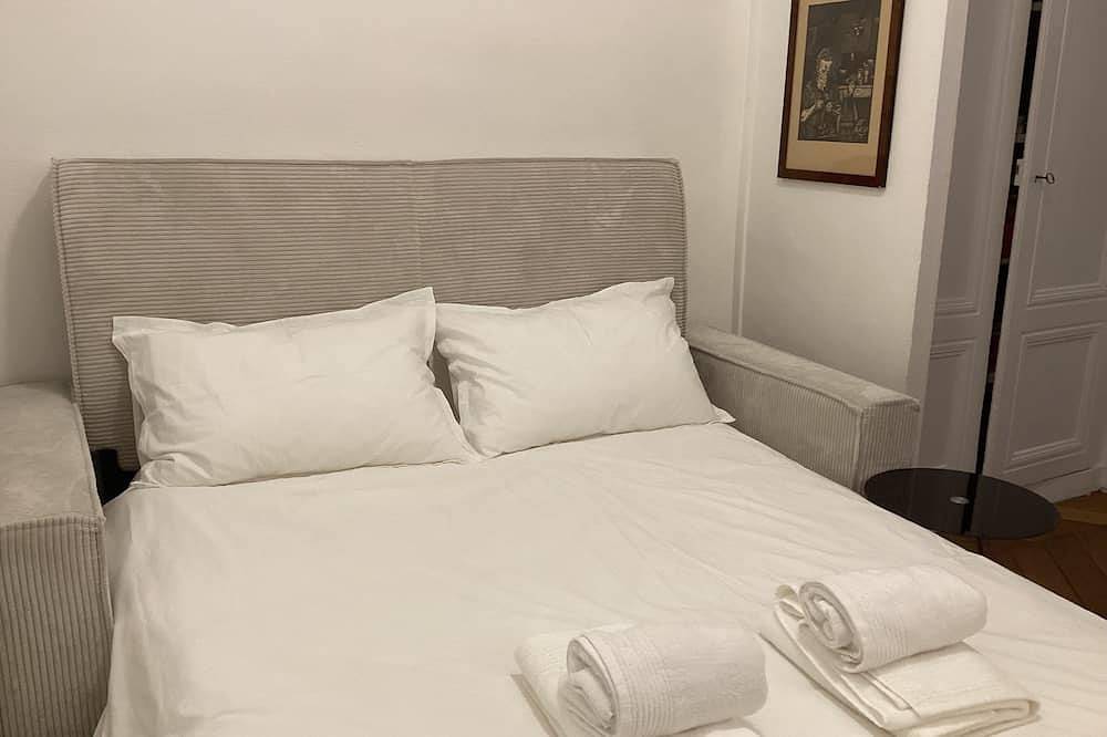 Appartement entier, Le Roosevelt, appartement 100m2, rénové, dans le 6ème arrondissement in Lyon, Lyon et ses environs