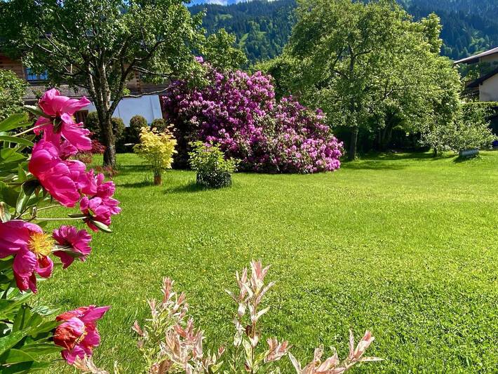 Hütte für 2 Personen, mit Garten und Pool, kinderfreundlich in den Kitzbüheler Alpen - 3