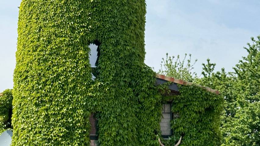 Ferienhaus für 4 Personen, mit Garten und Terrasse sowie Ausblick in Voerde (Niederrhein)