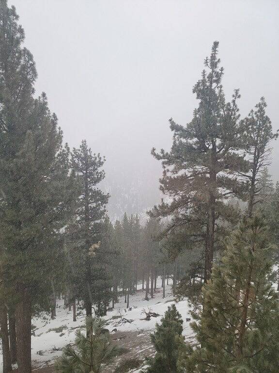 Experience Tahoe's Ski Scene at Holiday Inn Club Vacations Tahoe Ridge Resort in Kingsbury, Heavenly