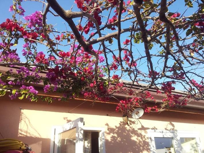 Location de vacances pour 2 personnes, avec balcon et vue, animaux acceptés à Milazzo - 2