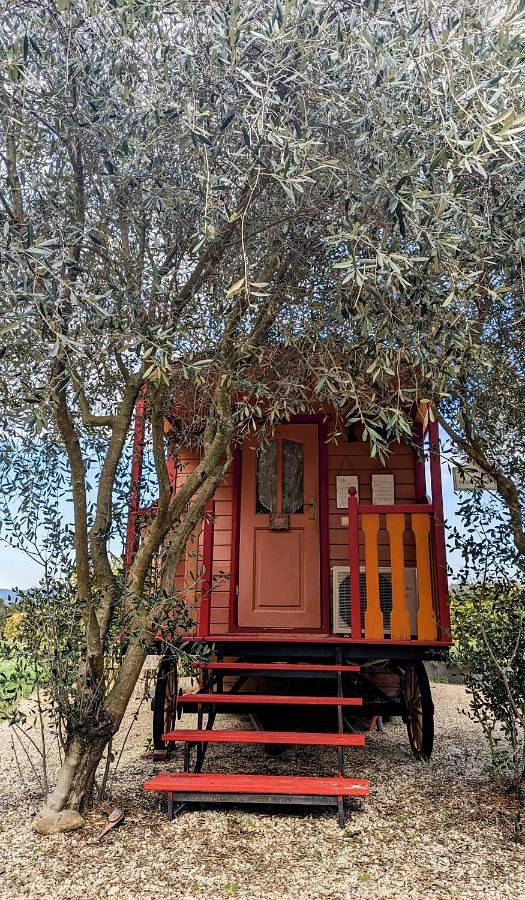 Tente pour 4 personnes, avec vue ainsi que jardin et piscine dans le Vaucluse - 2
