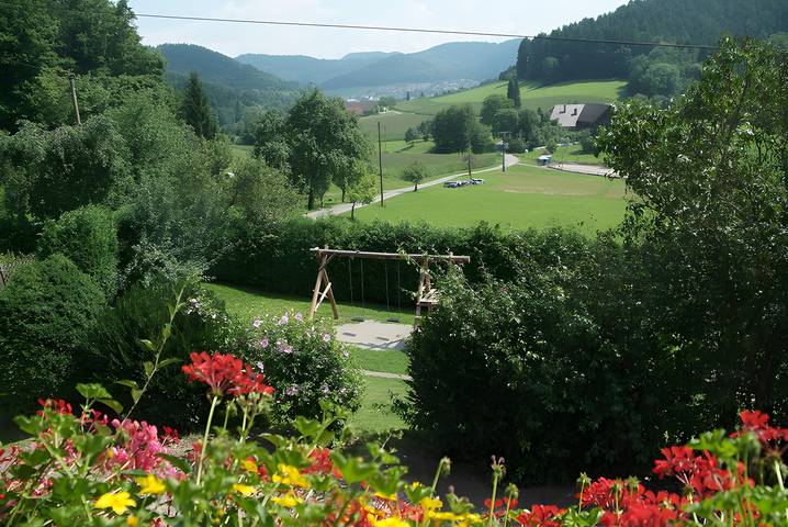 Entire apartment, Apartment 'Zum Austrag' with Mountain View, Shared Garden and Wi-Fi in Seelbach, Central Black Forest