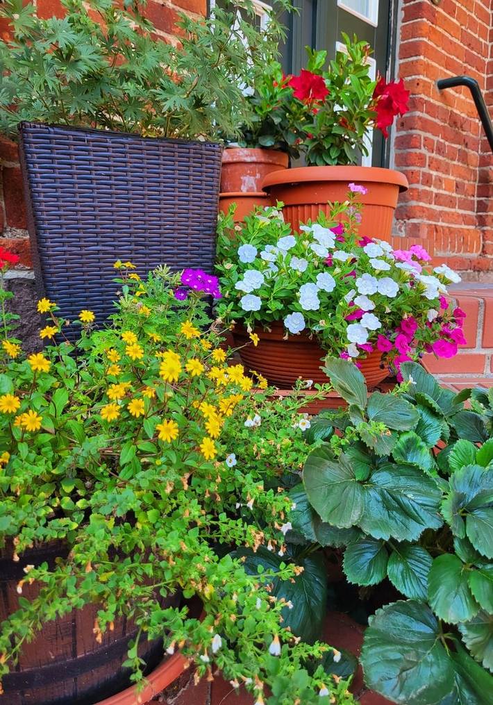 Ferienwohnung für 2 Personen, mit Garten, kinderfreundlich am Fleesensee - 2