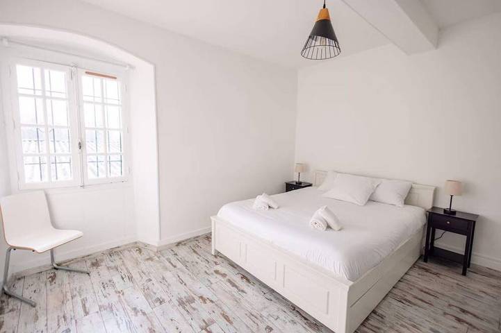 Location de vacances pour 19 personnes, animaux acceptés dans Groslée - 4