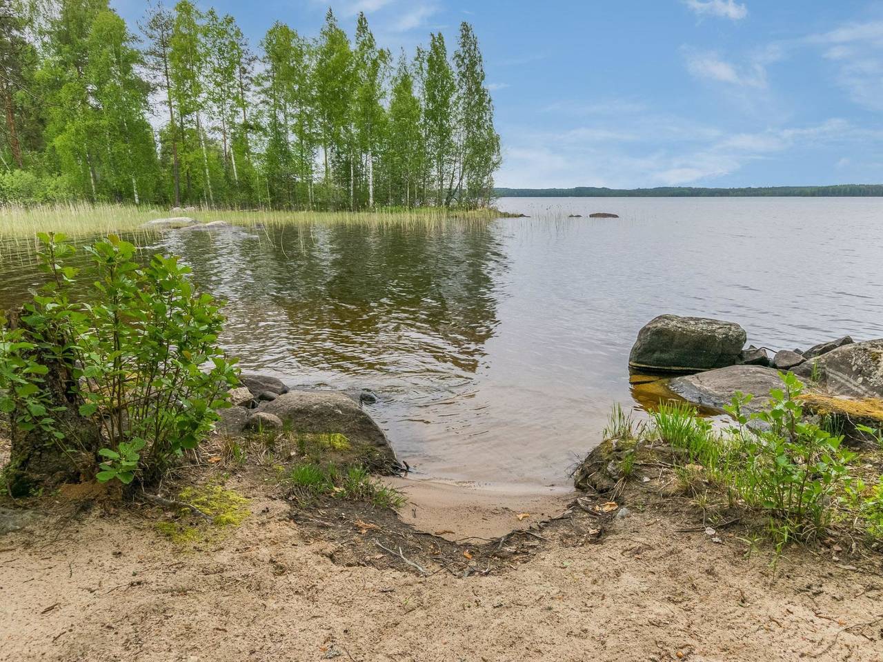 Tervapääsky in Kangasniemi, Südsavo