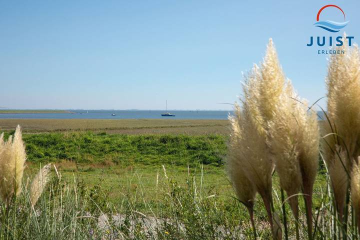 Ferienwohnung für 4 Personen, mit Terrasse und Ausblick, mit Haustier auf den Ostfriesische Inseln - 2