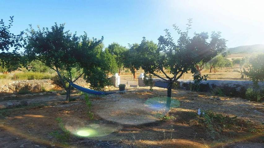 Casa rural para 4 personas, con Balcón y Terraza además de Jardín y Piscina en La Codosera - 3