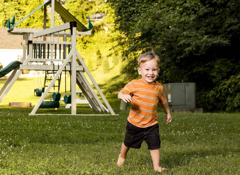 Scotch Pine . Trailside Lodging in Holmes County