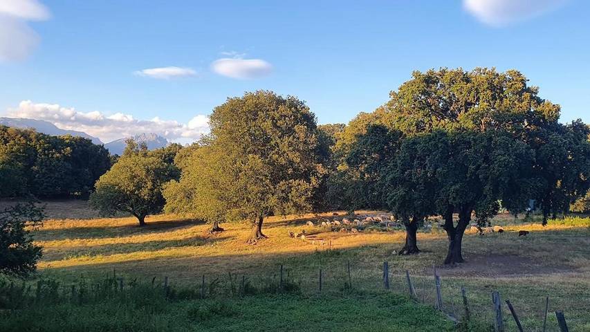 Gîte pour 2 personnes à Levie - 4