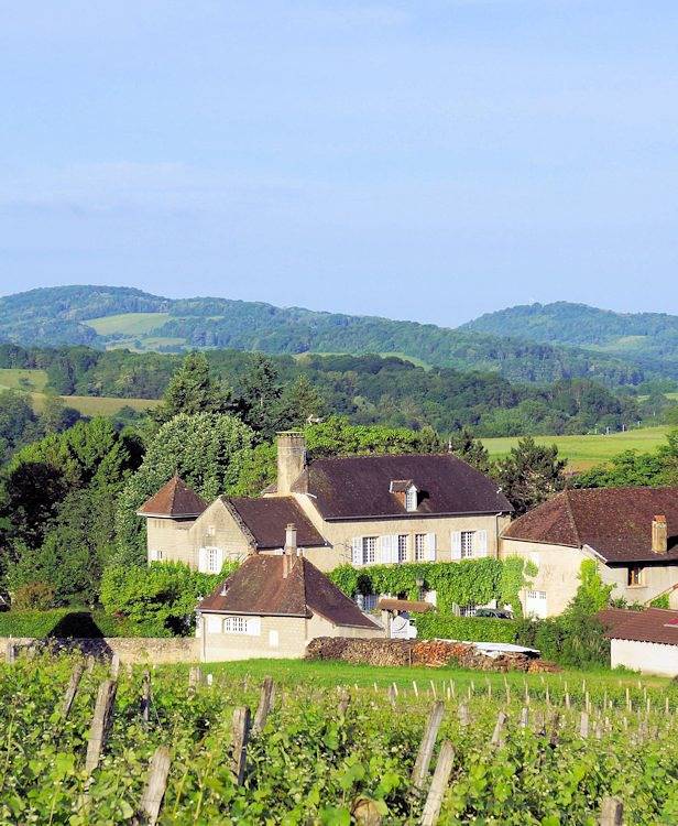 Domaine de Saint Loth' - Suite junior Château Chalon in Saint-Lothain, Jura