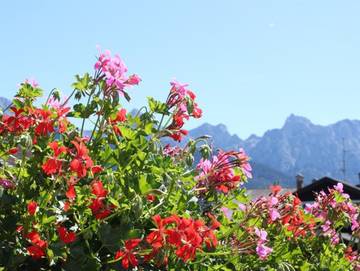 Ferienwohnung für 3 Personen in Krün, Bayerische Alpen, Bild 3