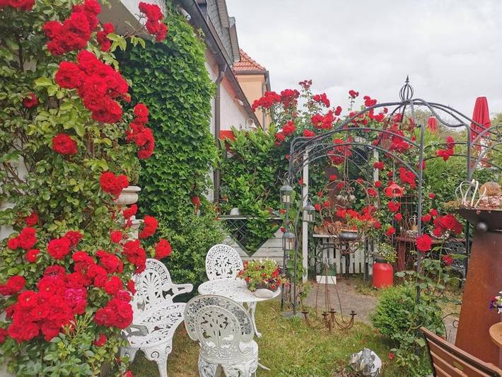 BnB, mit Terrasse und Garten sowie Sauna auf Rügen