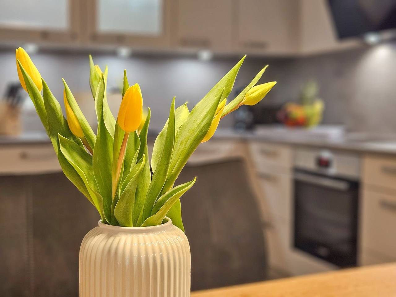 Ganze Wohnung, Ankerpunkt Südost – Nordseeluft. Sauna. Hundeglück. in Dorum-Neufeld, Samtgemeinde Land Wursten