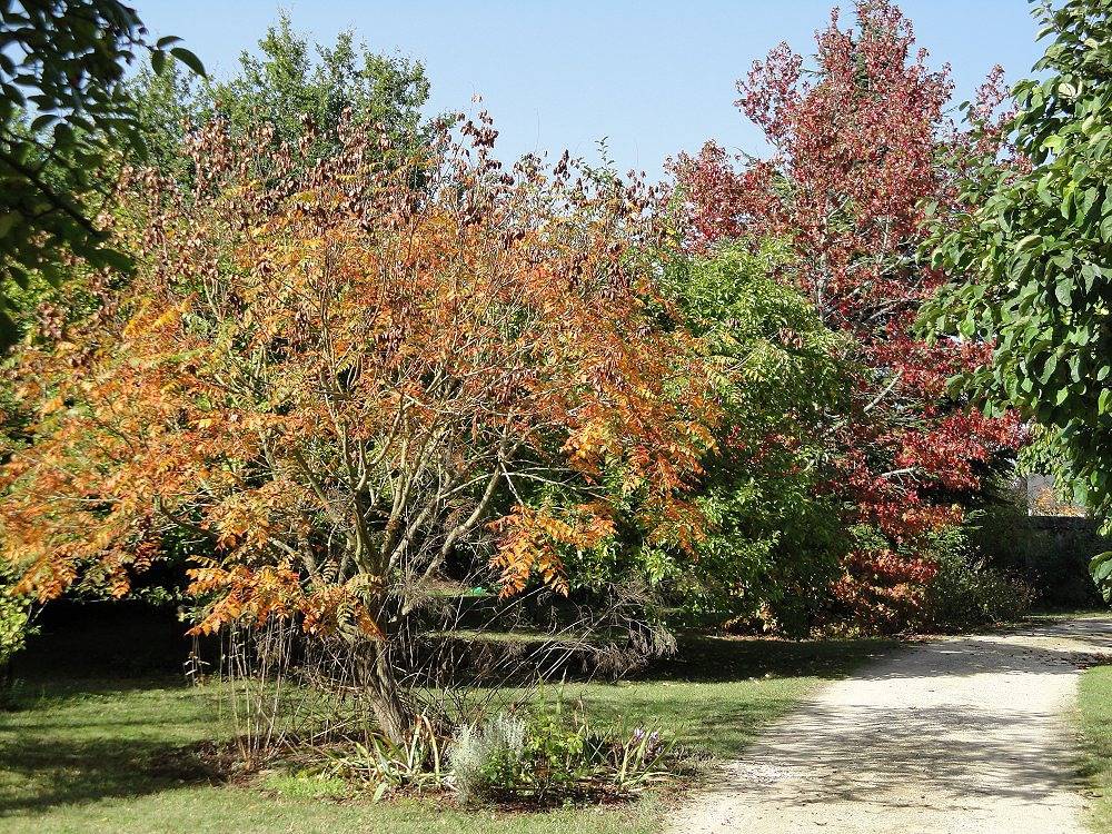 L'Aubépine - Chambre Clématite in Saint-Gervais-la-Forêt, Région de Blois